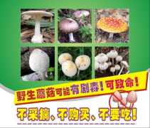 <strong>有毒蘑菇中毒尚无</strong>